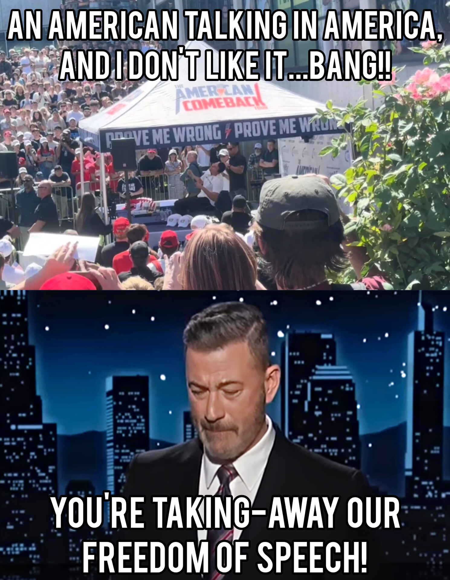 Democrats murder fellow Americans for talking, then say we're taking-away their freedom of speech.